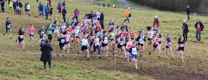 tramore valley cross country